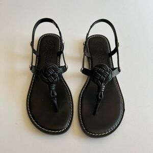 Brighton Aiden Black Sz 8